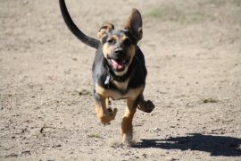 1919000_174389567270_1330613_n