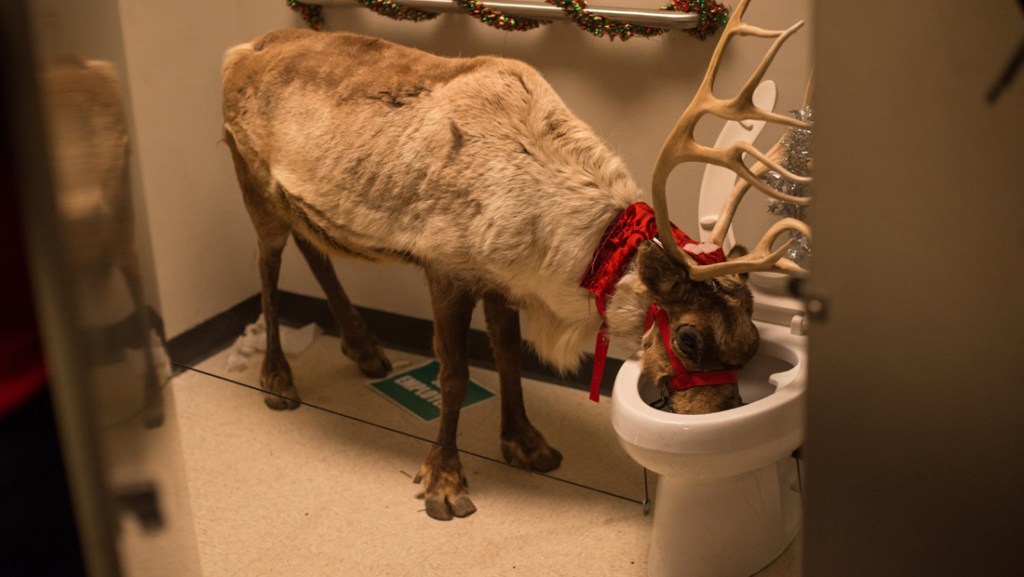 “Office Christmas Party”