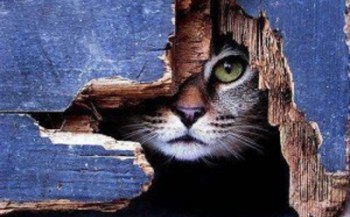 Menunggu-dengan-Sabar-300x240