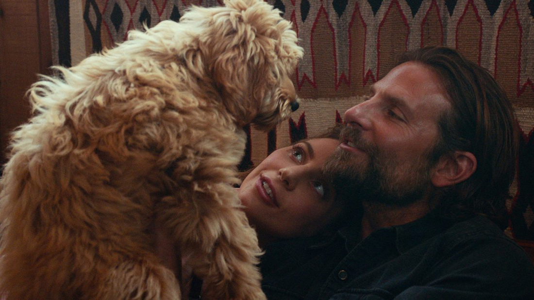 A Star Is Born” (2018) – The No Spoiler Critic